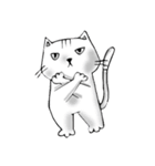 rui wen cat（個別スタンプ：19）