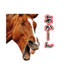大阪弁をしゃべる馬のスタンプ 第二弾（個別スタンプ：15）