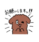 プードルのぷっさん（個別スタンプ：36）