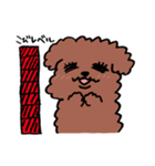 プードルのぷっさん（個別スタンプ：40）