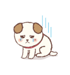Puppies Love Valentine Eng Ver（個別スタンプ：24）