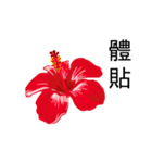 flowers language（個別スタンプ：5）
