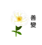 flowers language（個別スタンプ：6）
