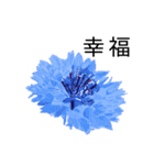 flowers language（個別スタンプ：8）