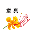 flowers language（個別スタンプ：9）