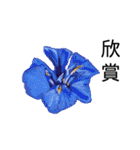 flowers language（個別スタンプ：10）