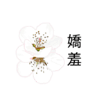 flowers language（個別スタンプ：12）