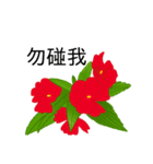 flowers language（個別スタンプ：13）
