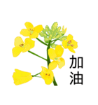 flowers language（個別スタンプ：14）