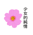 flowers language（個別スタンプ：17）
