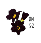 flowers language（個別スタンプ：19）