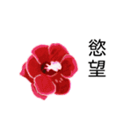 flowers language（個別スタンプ：20）