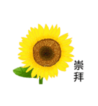 flowers language（個別スタンプ：25）