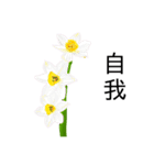 flowers language（個別スタンプ：28）