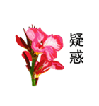 flowers language（個別スタンプ：32）