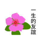 flowers language（個別スタンプ：33）