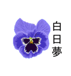 flowers language（個別スタンプ：35）