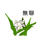 flowers language（個別スタンプ：36）