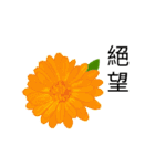 flowers language（個別スタンプ：39）