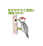 シャレのわかる動物たち3（個別スタンプ：30）