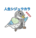 シャレのわかる動物たち3（個別スタンプ：40）
