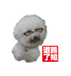 I Love Bichon Frise（個別スタンプ：23）