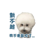 I Love Bichon Frise（個別スタンプ：33）