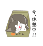 ふさかわニャンコのランちゃん（個別スタンプ：3）