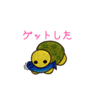 うみがめエディの日常会話 1（個別スタンプ：11）