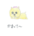 僕たちプリン犬！（個別スタンプ：14）