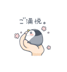 手のひらペンギン ぴっぴちゃん（個別スタンプ：40）