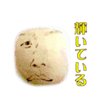 バリエーションスタンプ男編（個別スタンプ：10）