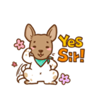 Dian Dian is a Mix Breed dog（個別スタンプ：3）