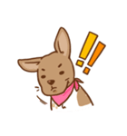 Dian Dian is a Mix Breed dog（個別スタンプ：6）