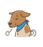 Dian Dian is a Mix Breed dog（個別スタンプ：13）