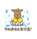 Dian Dian is a Mix Breed dog（個別スタンプ：19）