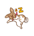 Dian Dian is a Mix Breed dog（個別スタンプ：21）