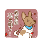 Dian Dian is a Mix Breed dog（個別スタンプ：35）