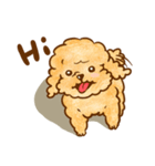 Lu huhu Toy Poodle（個別スタンプ：1）