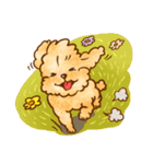 Lu huhu Toy Poodle（個別スタンプ：2）