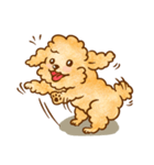 Lu huhu Toy Poodle（個別スタンプ：3）
