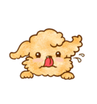 Lu huhu Toy Poodle（個別スタンプ：5）