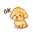 Lu huhu Toy Poodle（個別スタンプ：7）