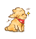 Lu huhu Toy Poodle（個別スタンプ：11）