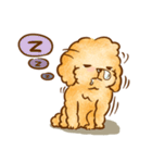 Lu huhu Toy Poodle（個別スタンプ：12）