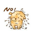 Lu huhu Toy Poodle（個別スタンプ：13）
