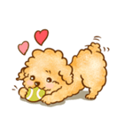 Lu huhu Toy Poodle（個別スタンプ：15）