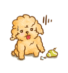 Lu huhu Toy Poodle（個別スタンプ：16）