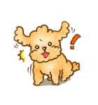 Lu huhu Toy Poodle（個別スタンプ：17）