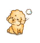 Lu huhu Toy Poodle（個別スタンプ：19）